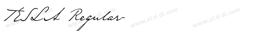 TESLA Regular字体转换